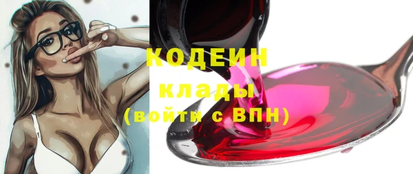 сатива Пересвет