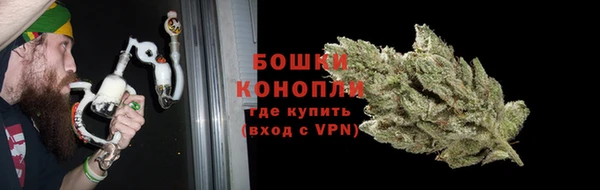 сатива Пересвет