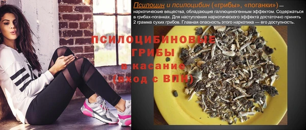 PSILOCYBIN Алексеевка