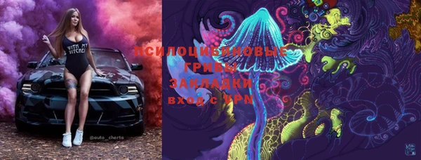 PSILOCYBIN Алексеевка