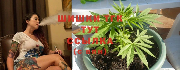 сатива Пересвет