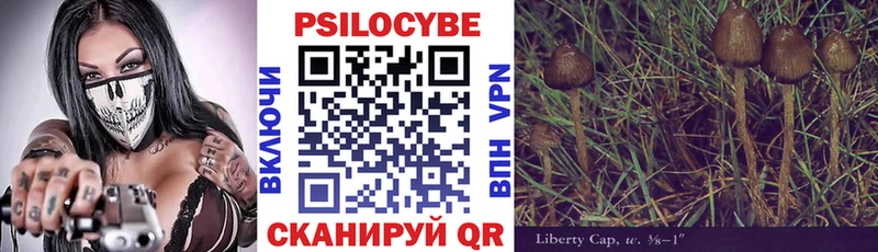 Галлюциногенные грибы прущие грибы  Ладушкин 