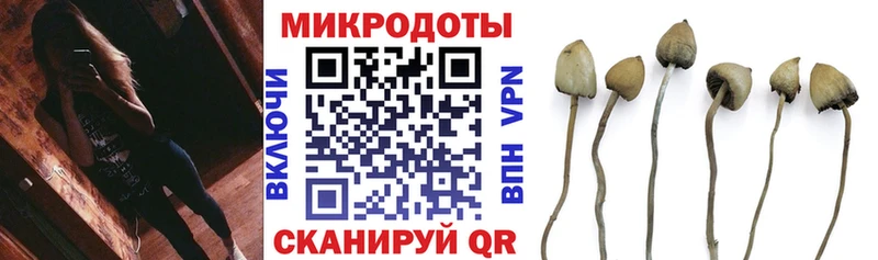 Галлюциногенные грибы Magic Shrooms Ладушкин